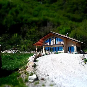 Asinochevola Italia